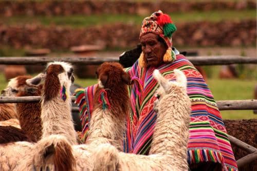Local Quechuan 